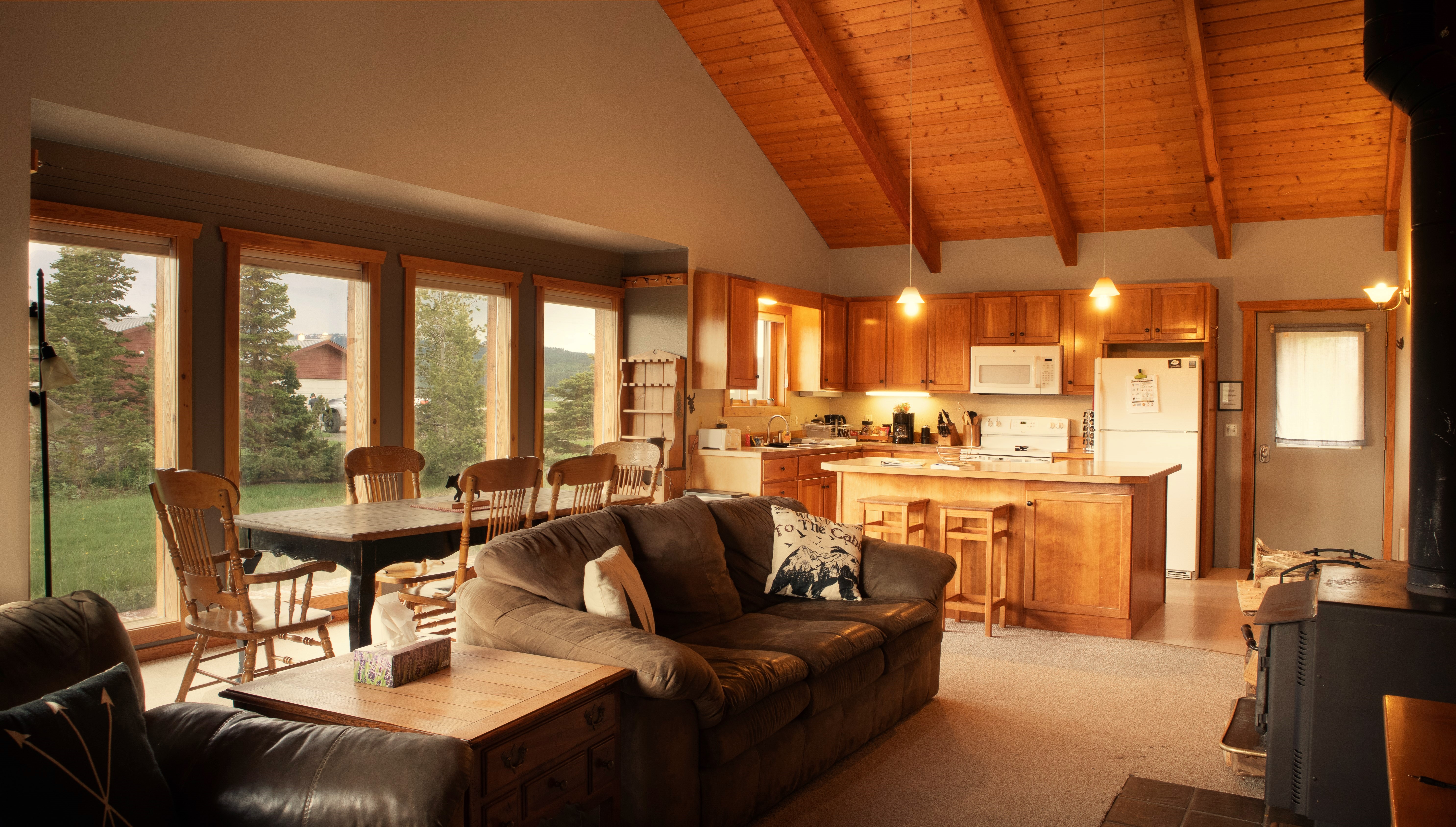 Living area and kitchen
